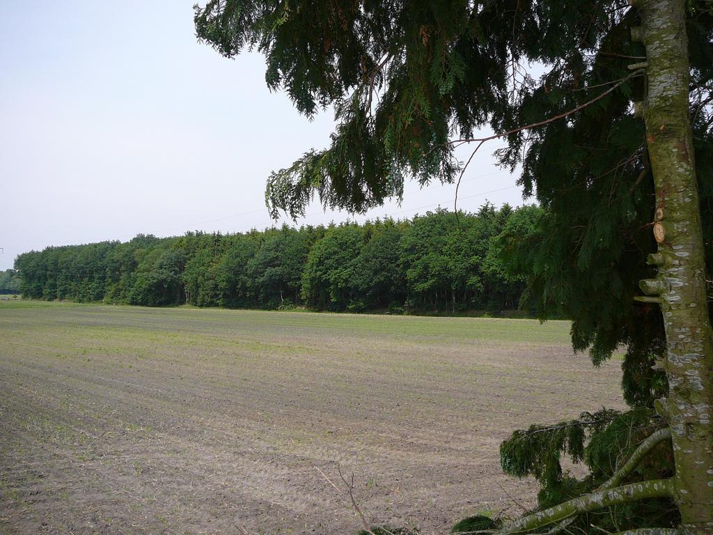Zonneraai Nieuweroord Exterior foto